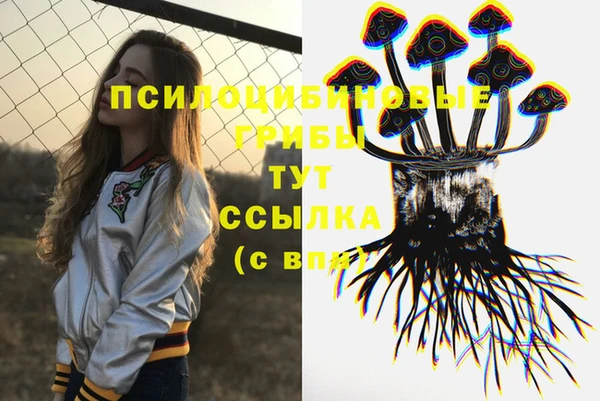 a pvp Бронницы