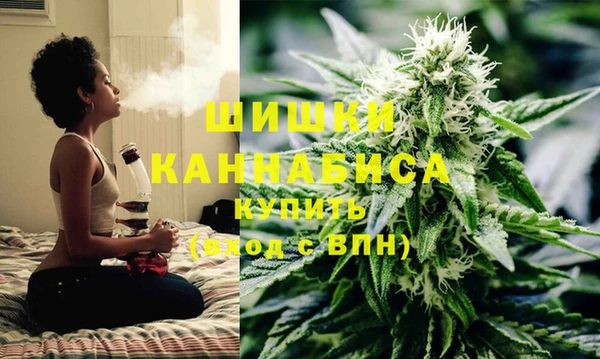 шишки Богородицк