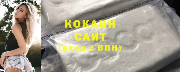 молекула духа Бородино