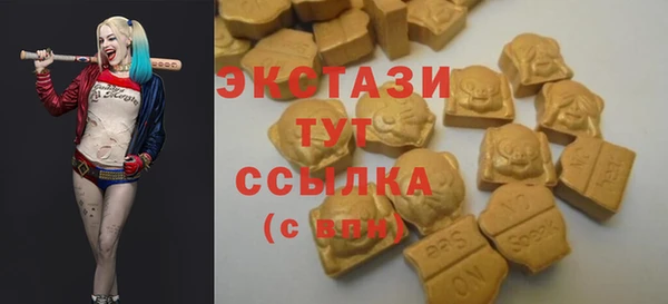 шишки Богородицк