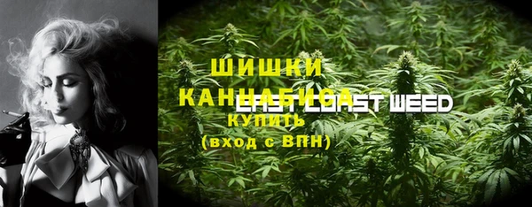 шишки Богородицк