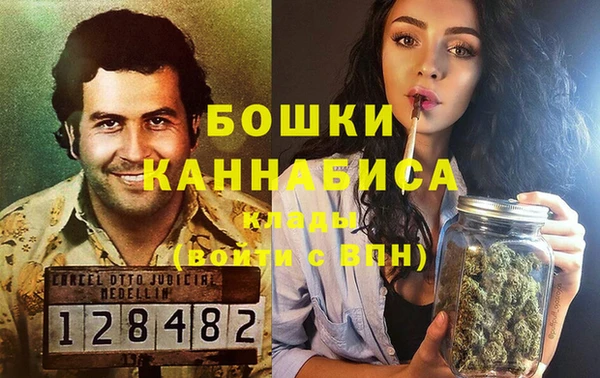 шишки Богородицк