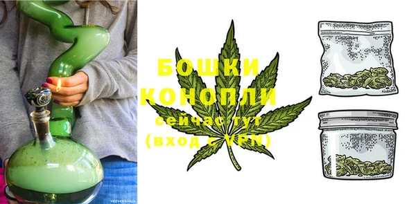 шишки Богородицк