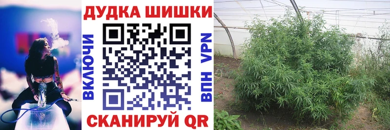 закладка  Вятские Поляны  Бошки марихуана Bruce Banner 